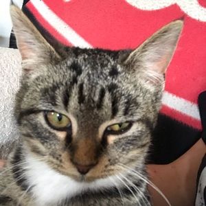 Meet your Posher, Shannon